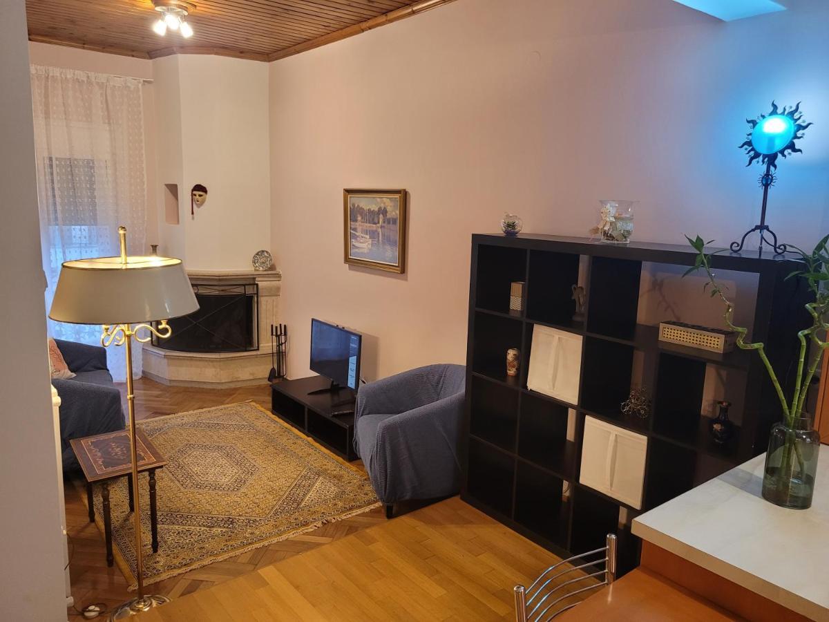 City Center Apartment Arta Exterior photo